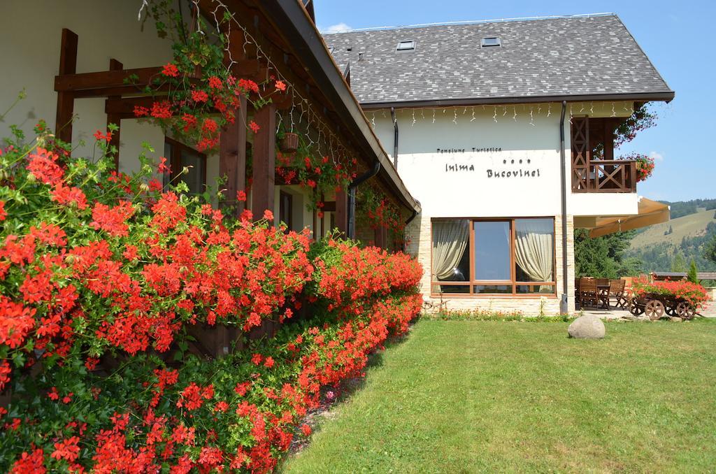 Pensiunea Inima Bucovinei Frasin エクステリア 写真